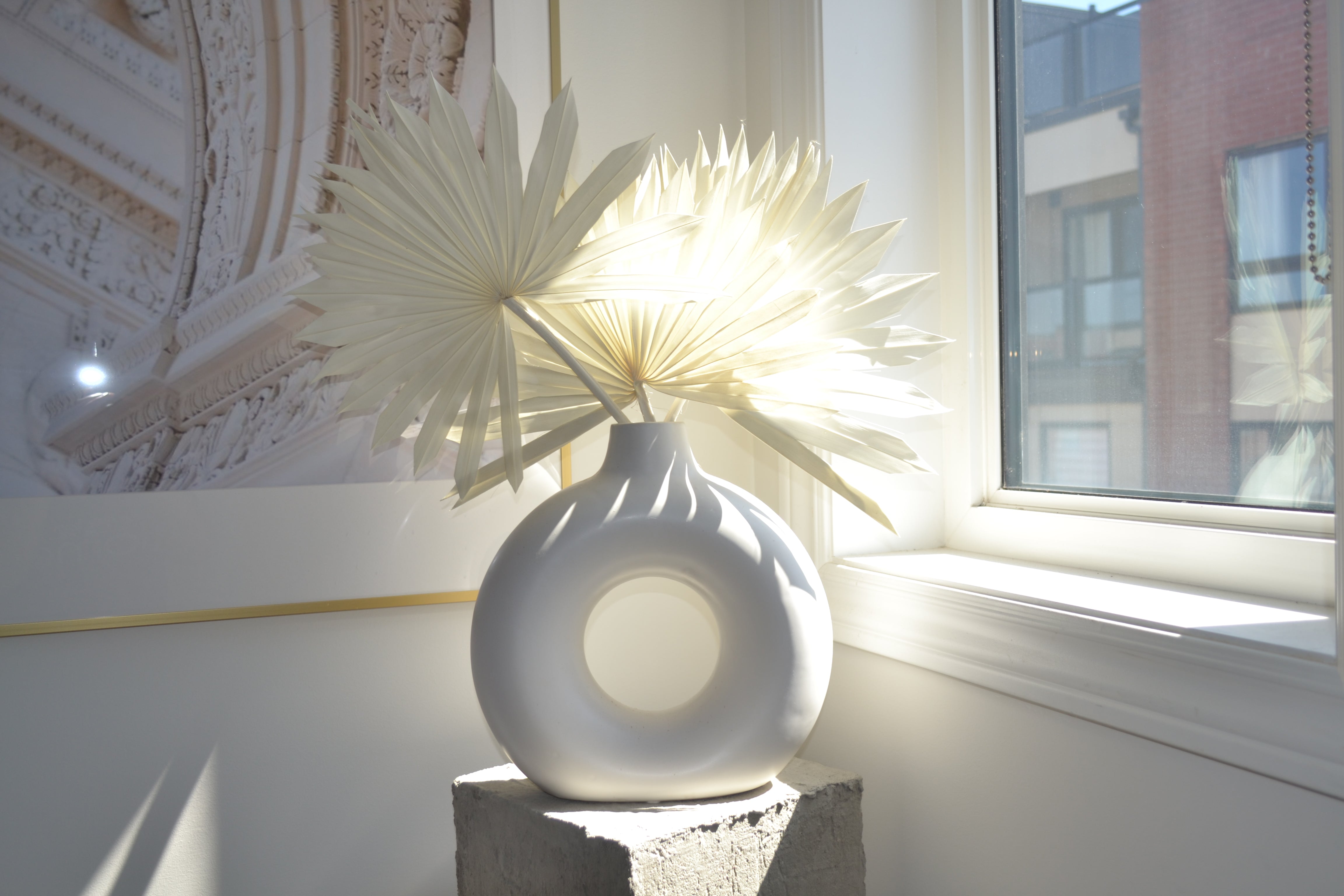 PRESERVED SUN FAN PALM LEAF